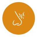 Endoscopic Sinus